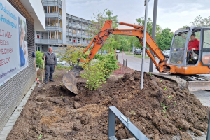 Aushub mit Bagger